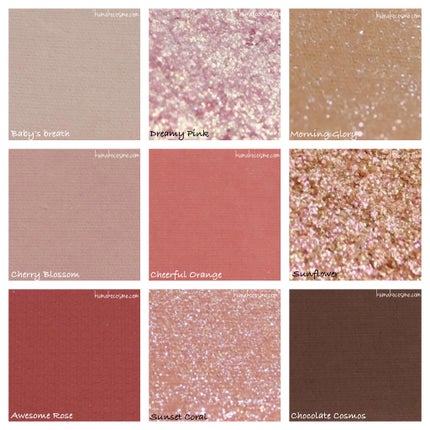 ワンピックアイシャドウパレット/APLIN/アイシャドウパレットを使ったクチコミ(4枚目)