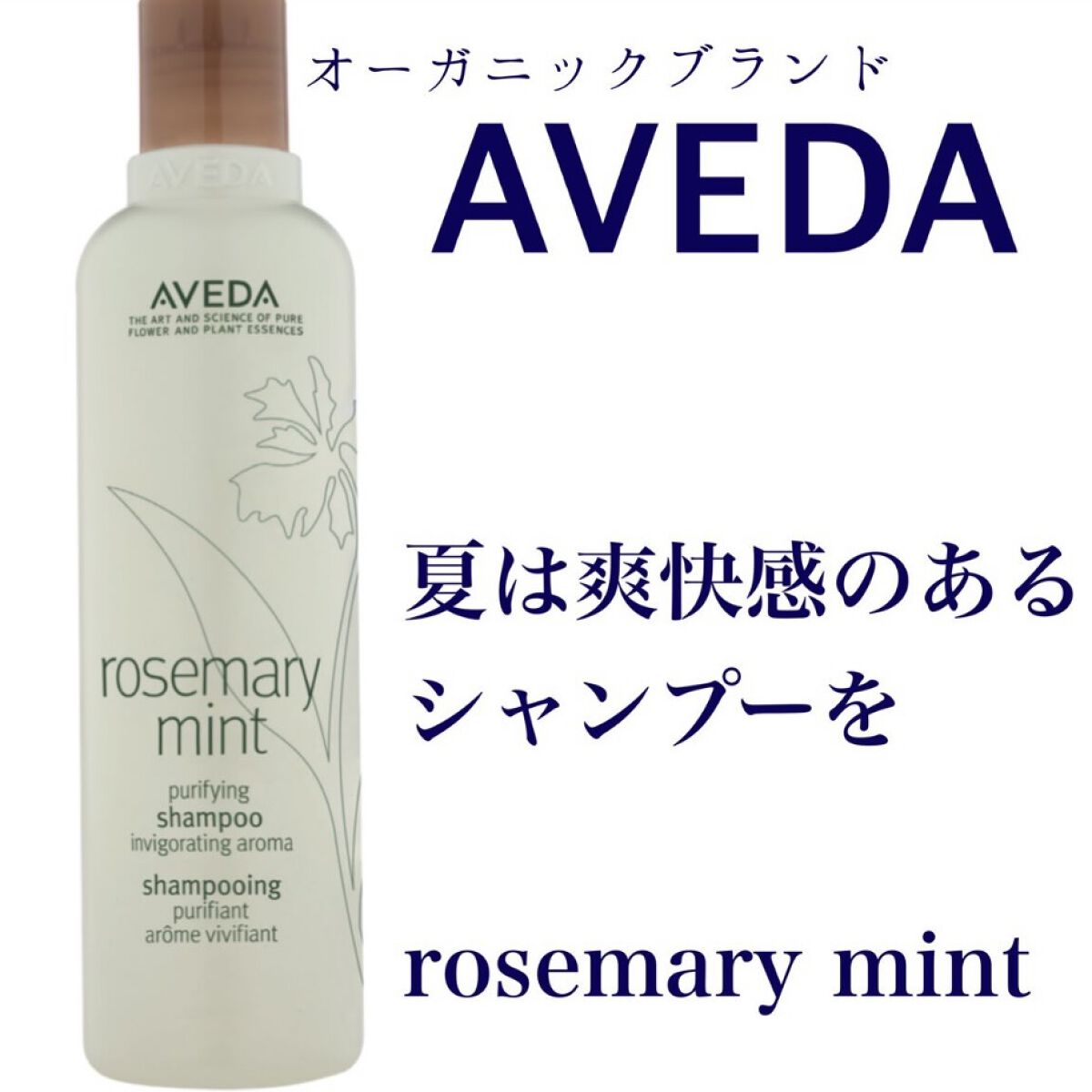 AVEDA ローズマリーミント ボディローションのクチコミ「さわやかな洗い心地#AVEDA のローズマリーミントです


#ローズマリー
#ペパーミント
.....」（1枚目）