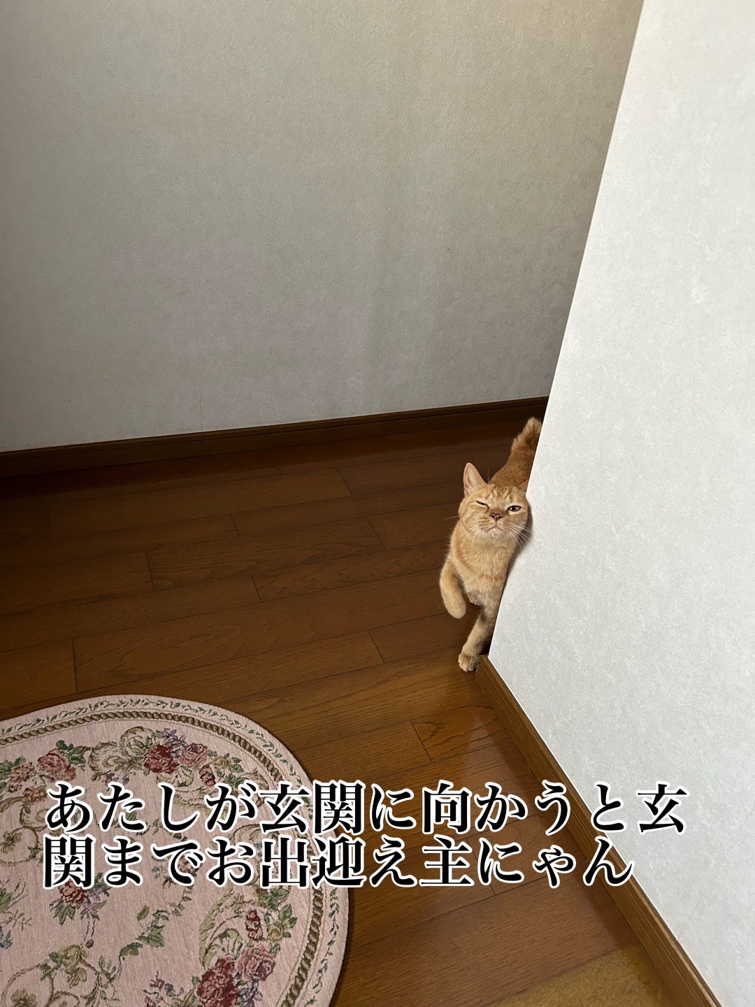 ðââ¬ã«ãããðŸ on LIPS ãã«ãããããåºè¿ãããŠããããç²ããŠåž°ã£ãŠããŠããã¯çãã§ãã..ãïŒ2æç®ïŒ