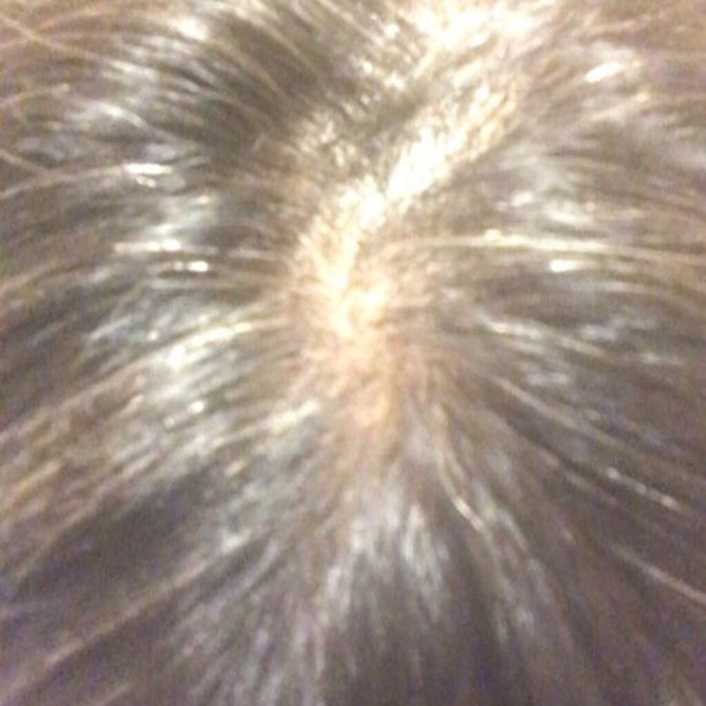 カラークチュール カラートリートメント 002 ダークブラウン/スティーブンノル ニューヨーク/ヘアカラーを使ったクチコミ（3枚目）