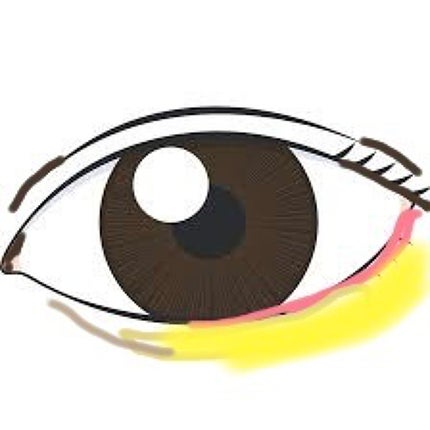 カラーミキシングコンシーラー/キャンメイク/パレットコンシーラーを使ったクチコミ(4枚目)