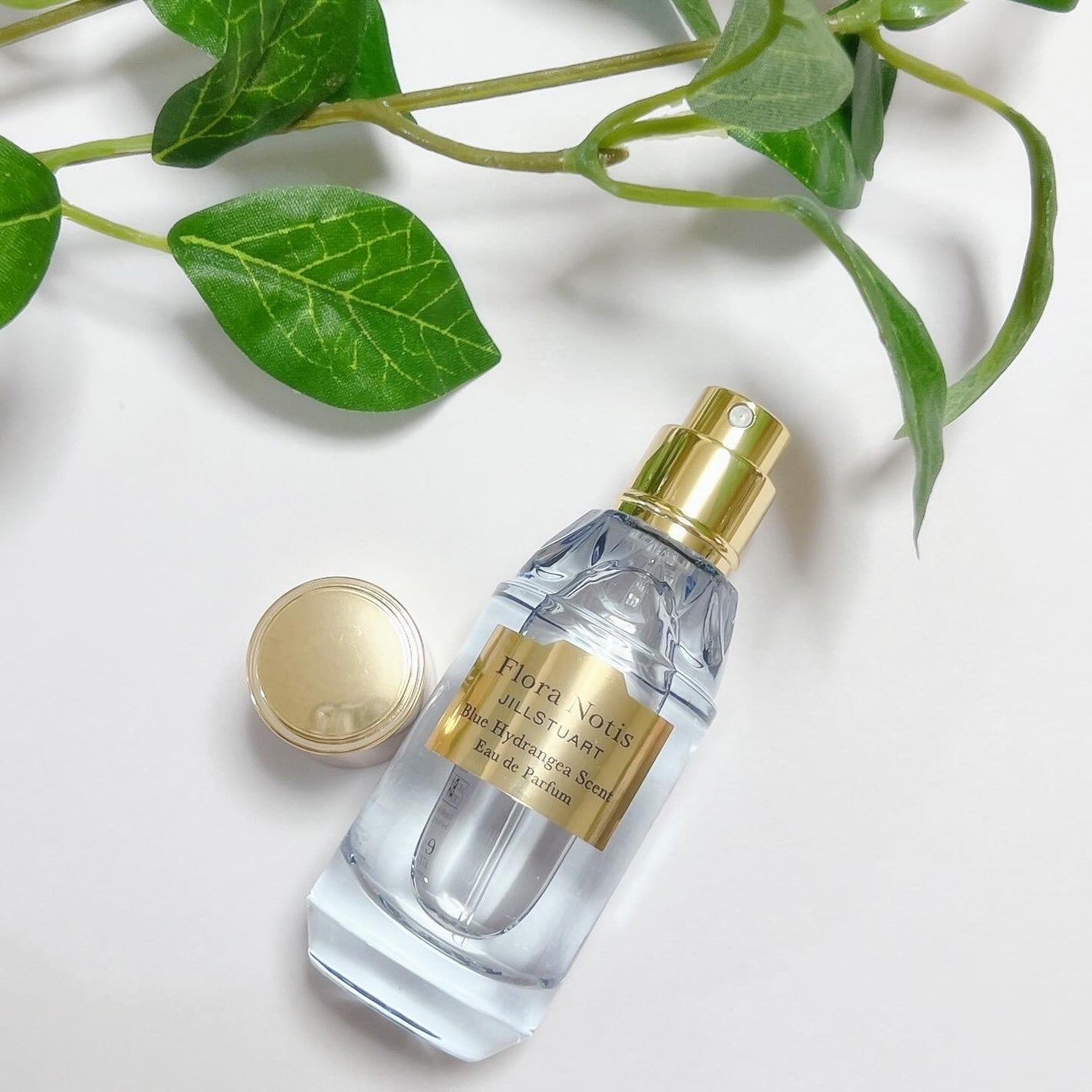 ブルー ハイドレンジア オードパルファン/Flora Notis JILL STUART/香水(レディース)を使ったクチコミ(3枚目)
