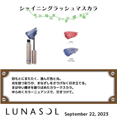 ルナソル カラーリングシアーチークス(グロウ)/LUNASOL/パウダーチークを使ったクチコミ（3枚目）