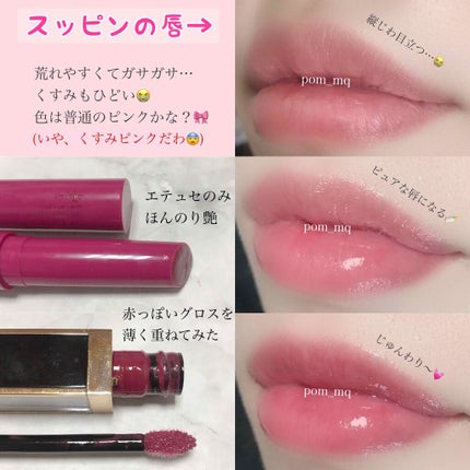 エテュセ リップエディション(プランパー)リッチスタイル/ヘルシースタイル/ettusais/リップケアを使ったクチコミ(2枚目)