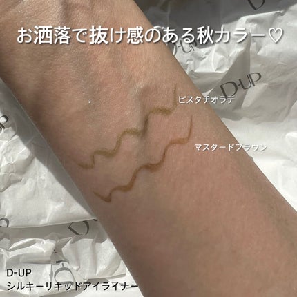 シルキーリキッドアイライナーWP/D-UP/リキッドアイライナーを使ったクチコミ(4枚目)