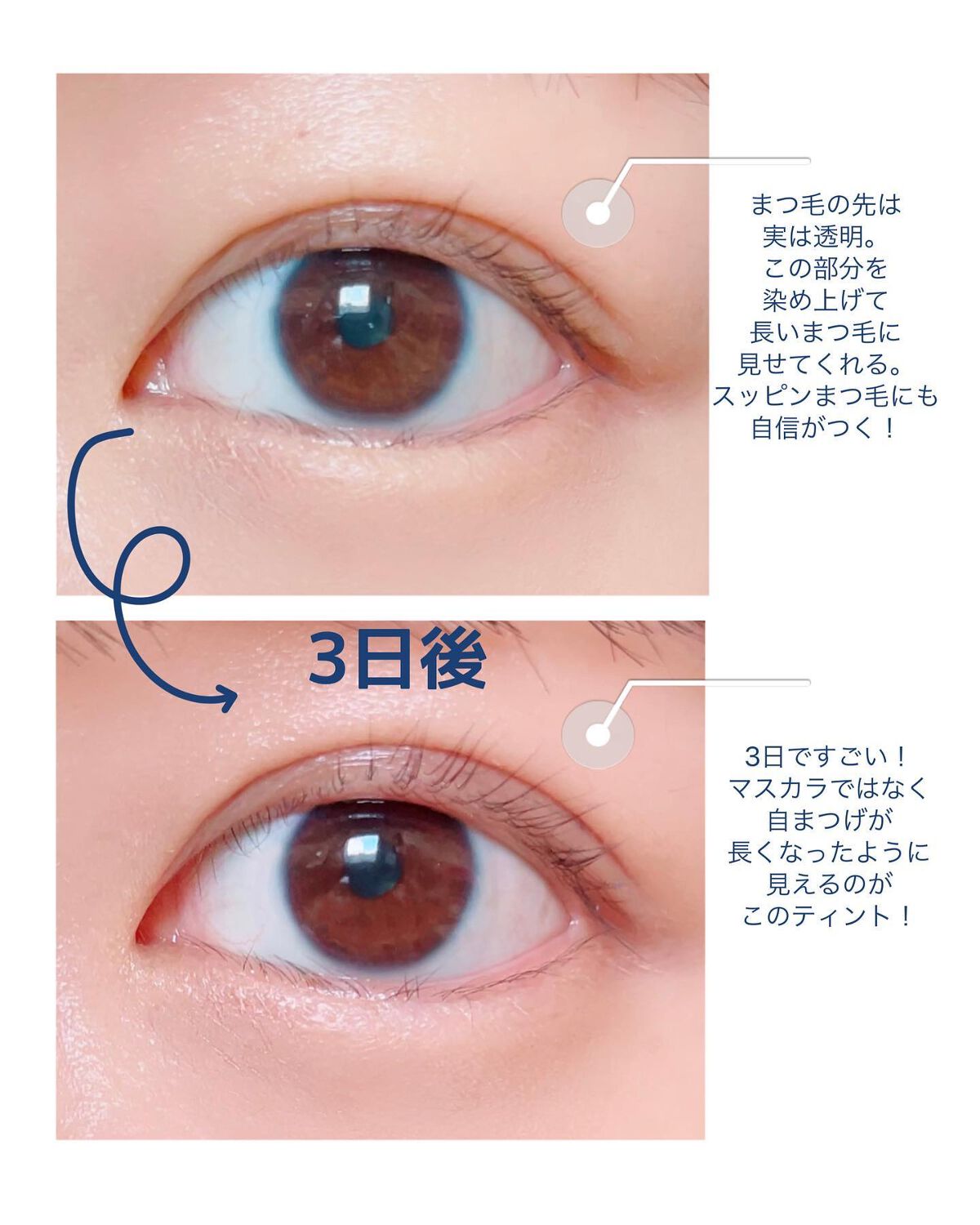 マジックティント/MAJOLICA MAJORCA/マスカラを使ったクチコミ（3枚目）