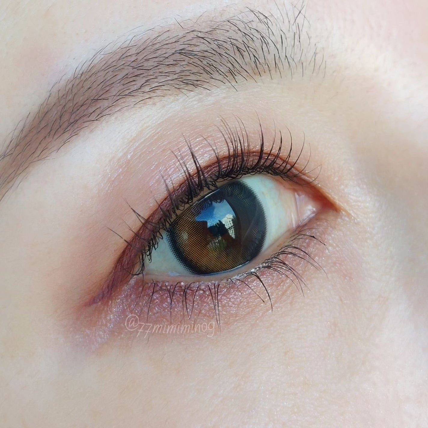 シグニチャー カラー アイズ/SUQQU/アイシャドウパレットを使ったクチコミ(4枚目)