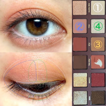 エクスプローラ12色 動物アイシャドウパレット/PERFECT DIARY/アイシャドウパレットを使ったクチコミ(7枚目)