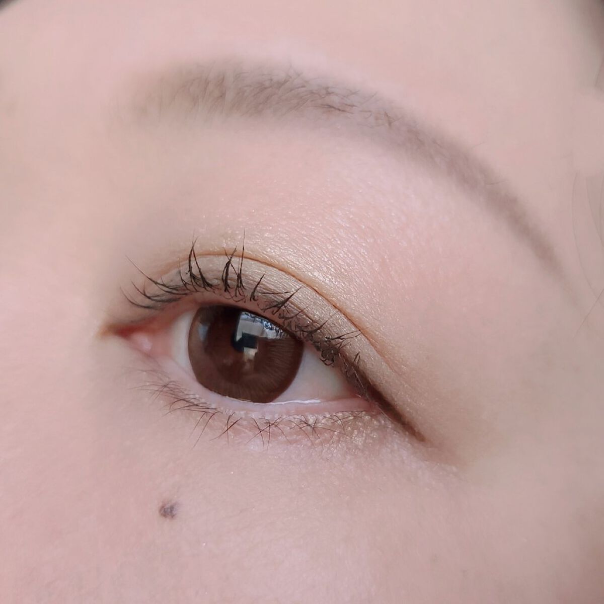 グラデーション アイシャドウ/ちふれ/アイシャドウパレットを使ったクチコミ（2枚目）