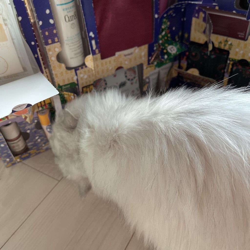 フォロバ100‼️インスタから投稿 on LIPS 「・MyLittleBoxマイリトルボックスアドベントカレンダー..」(7枚目)