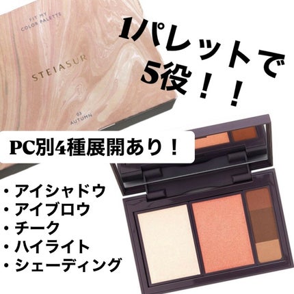 フィット my カラーパレット/STEIASUR(ステイアシュール)/マルチパレットを使ったクチコミ(1枚目)