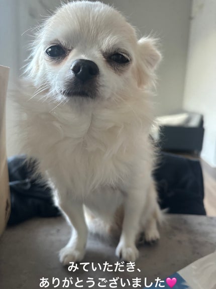 スージンググリーン アクアセラムマスク/ByUR/シートマスク・パックを使ったクチコミ(9枚目)