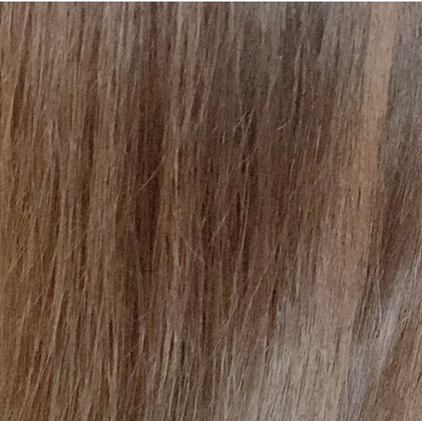 ネクサス リペア＆カラープロテクト シャンプー／トリートメント/NEXXUS(ネクサス)/市販シャンプーを使ったクチコミ（3枚目）