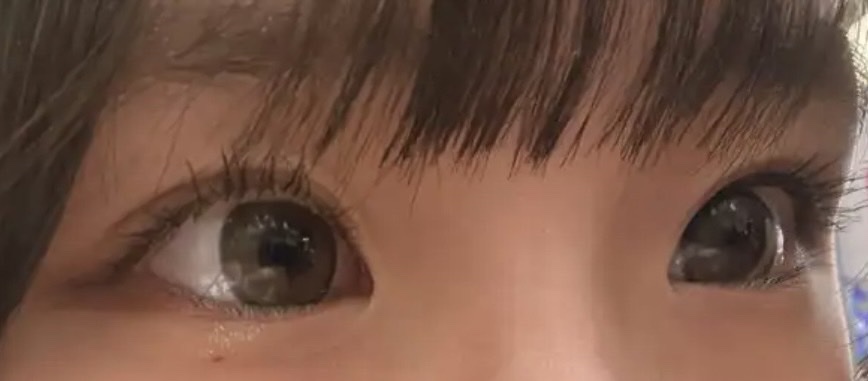 secretcandymagic 1day(シークレットキャンディーマジック） ラテベージュ/secret candymagic/ワンデー（１DAY）カラコンを使ったクチコミ（2枚目）