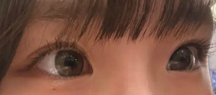 secretcandymagic 1day(シークレットキャンディーマジック)/secret candymagic/ワンデー(1DAY)カラコンを使ったクチコミ(2枚目)