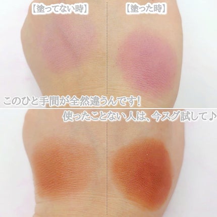 ラスティングマルチアイベース WP/キャンメイク/アイシャドウベースを使ったクチコミ(7枚目)