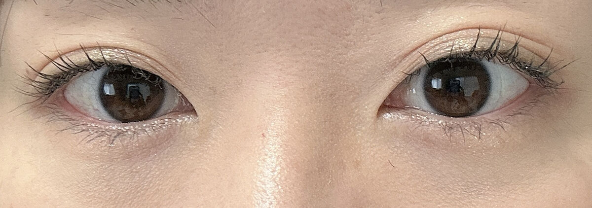 プロ アイ パレット/CLIO/アイシャドウパレットを使ったクチコミ（1枚目）