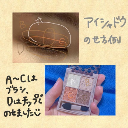 グロッシーリッチ アイズ N/Visée/アイシャドウパレットを使ったクチコミ(3枚目)