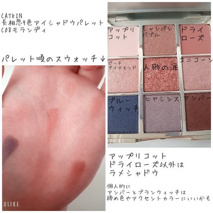 長相思シリーズ 9色アイシャドウパレット/CATKIN/アイシャドウパレットを使ったクチコミ(4枚目)