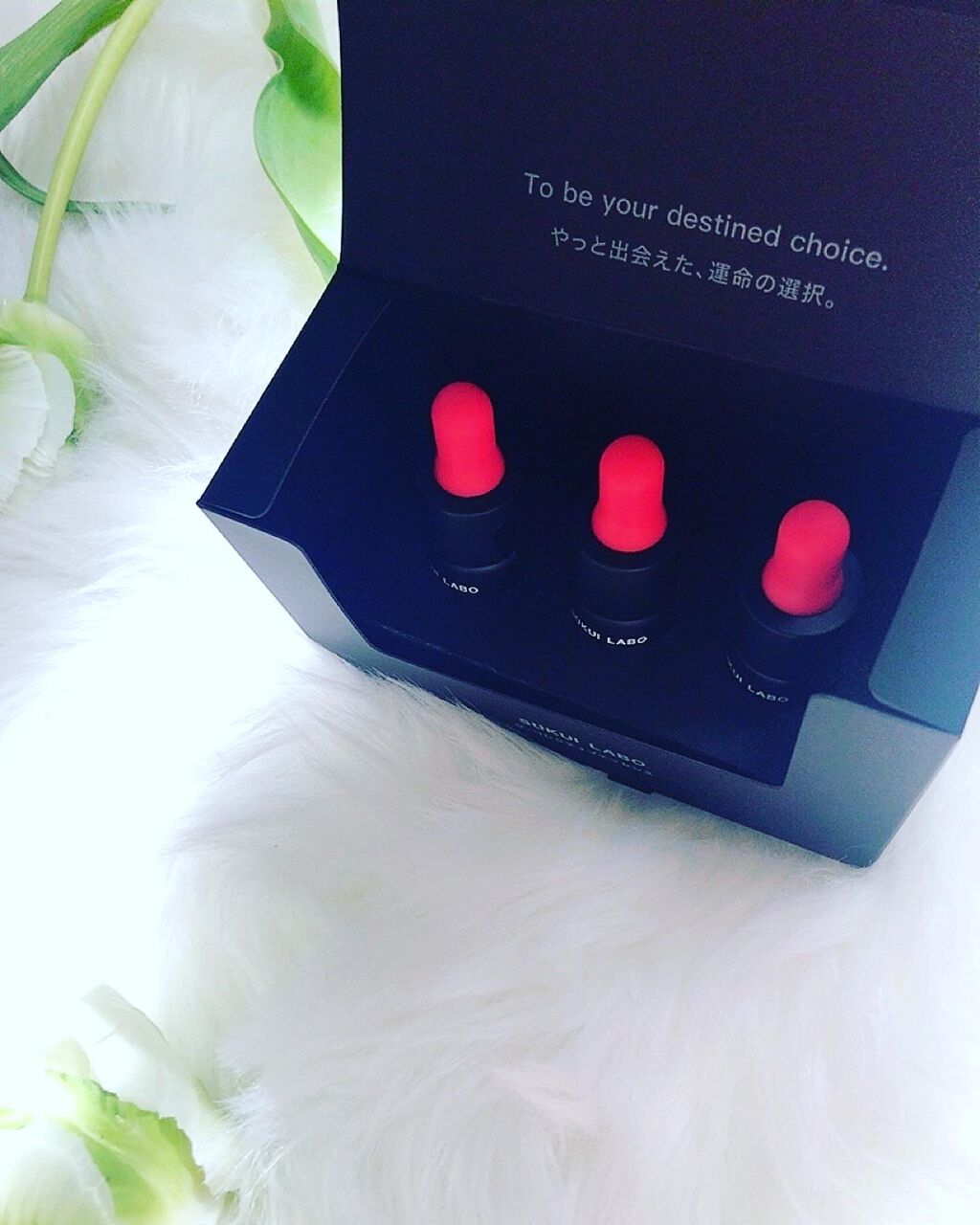 ザ・コレクティブエッセンス/SUKUI LABO/美容液を使ったクチコミ(5枚目)