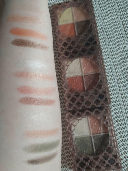 グロッシーリッチ アイズ N/Visée/アイシャドウパレットを使ったクチコミ(3枚目)