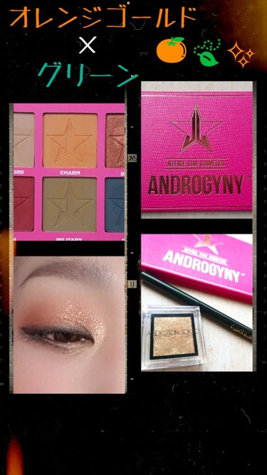 Androgyny Eyeshadow Palette/Jeffree Star Cosmetics/アイシャドウパレットを使ったクチコミ（1枚目）