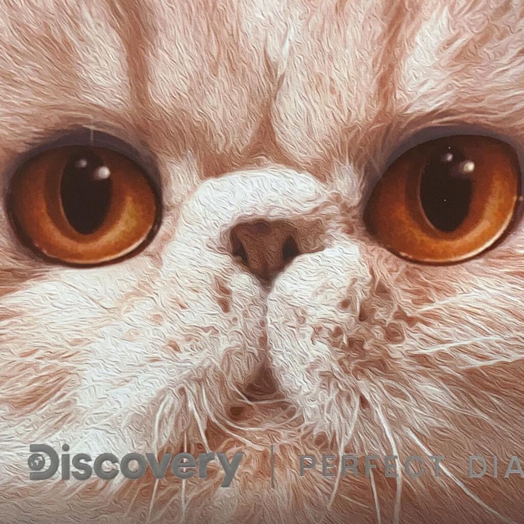 エクスプローラ12色 動物アイシャドウパレット/PERFECT DIARY/アイシャドウパレットを使ったクチコミ(6枚目)