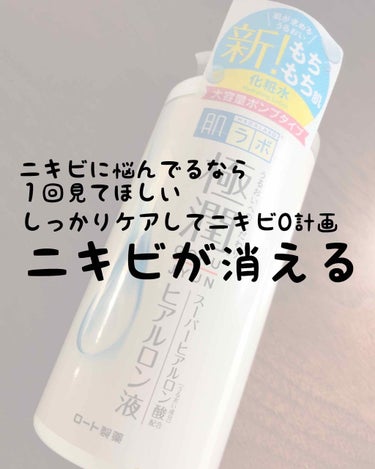 極潤 ヒアルロン液(旧) 170mL/肌ラボ/化粧水を使ったクチコミ（1枚目）