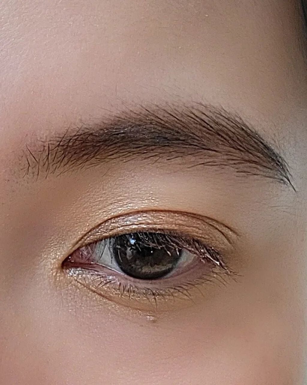 トーン ペタル アイシャドウ/to/one/アイシャドウパレットを使ったクチコミ(7枚目)