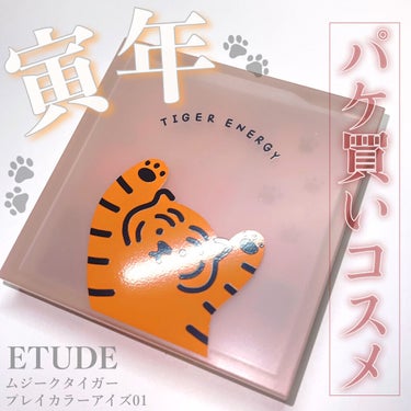 ムジークタイガープレイカラーアイズ/ETUDE/パウダーアイシャドウを使ったクチコミ（1枚目）