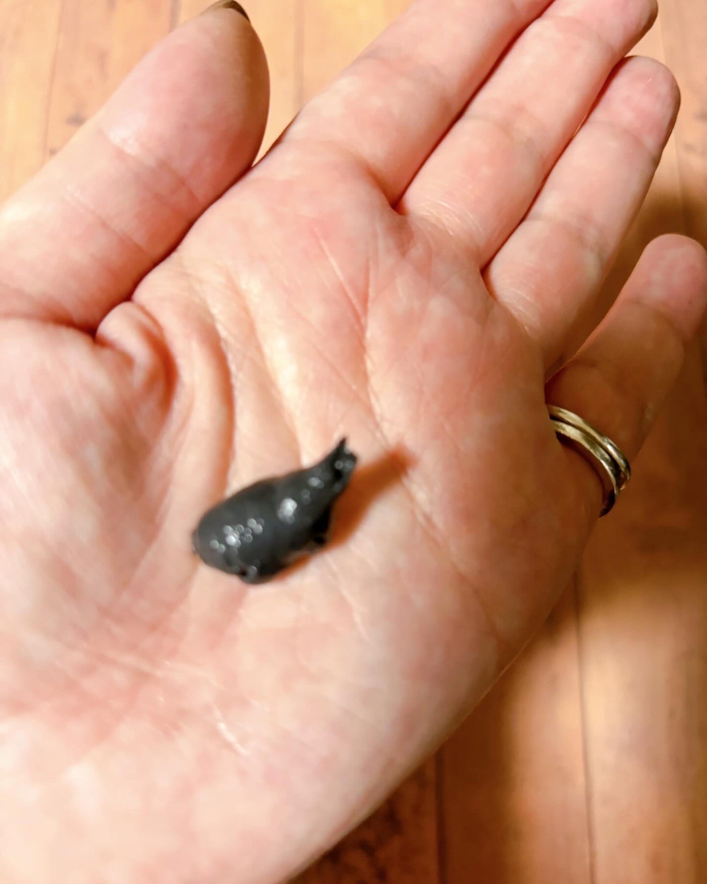 comaki on LIPS 「シルクザリッチ【スカルプ&リペア】シャンプーとトリートメントを..」(3枚目)