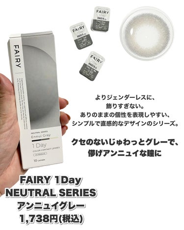 フェアリー ワンデー ニュートラルシリーズ Ennui Gray（アンニュイグレー）/FAIRY/ワンデー（１DAY）カラコンを使ったクチコミ（2枚目）