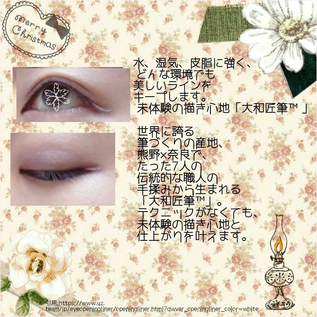 EYE OPENING LINER/UZU BY FLOWFUSHI/リキッドアイライナーを使ったクチコミ(2枚目)