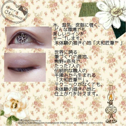 EYE OPENING LINER/UZU BY FLOWFUSHI/リキッドアイライナーを使ったクチコミ(2枚目)