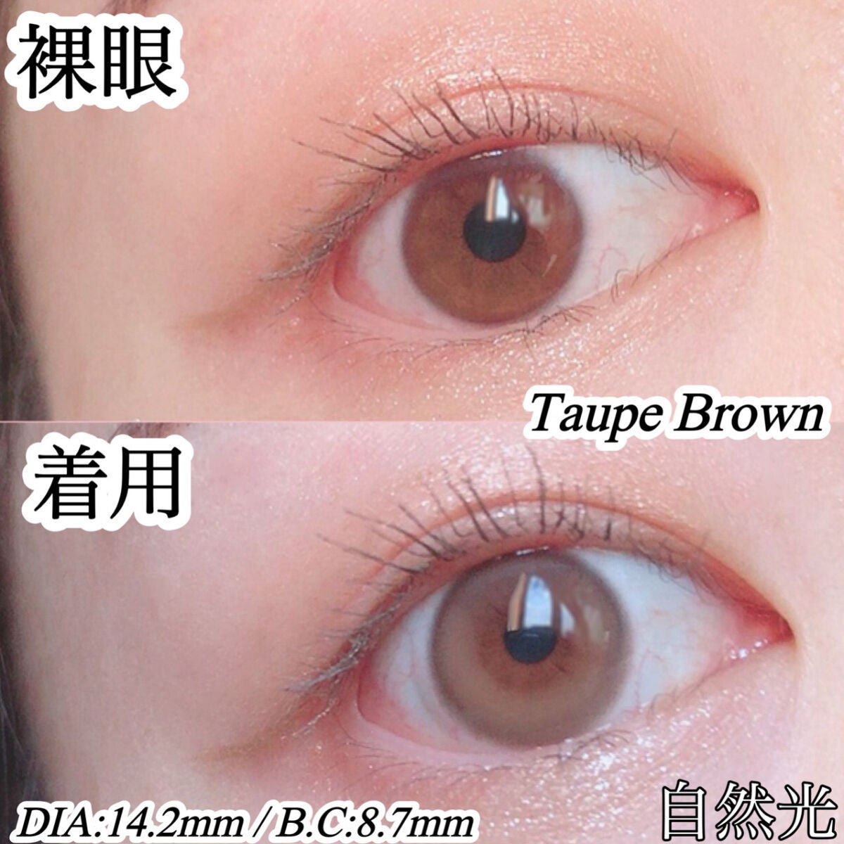 ピュアリティーシャインワンデー(PURITYSHINE 1day)/OLOLA/ワンデー(1DAY)カラコンを使ったクチコミ(3枚目)