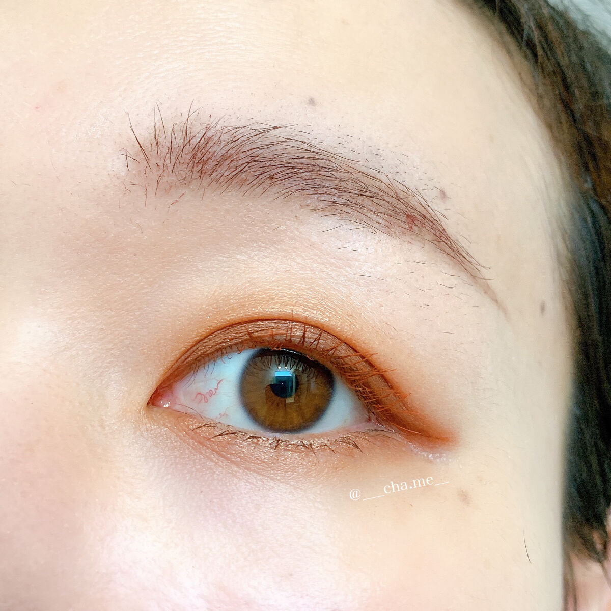 アディクション ザ マスカラ カラーニュアンス WP 005 Cinnamon Brown/ADDICTION/マスカラを使ったクチコミ（2枚目）