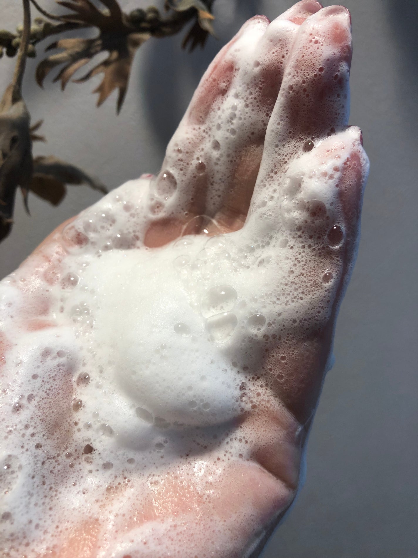 スペシャルパウダーソープCure/Cure/洗顔パウダーを使ったクチコミ(6枚目)