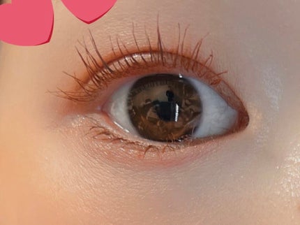 プロ アイ パレット/CLIO/アイシャドウパレットを使ったクチコミ(1枚目)