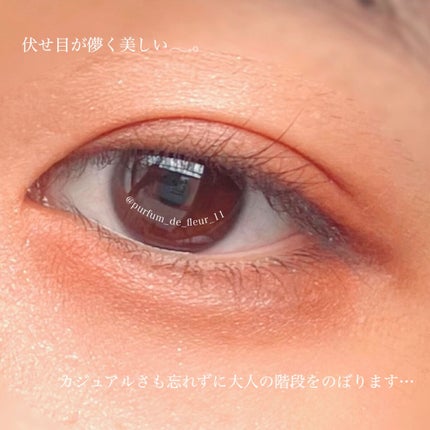 パーフェクトマルチアイズ/キャンメイク/アイシャドウパレットを使ったクチコミ(3枚目)