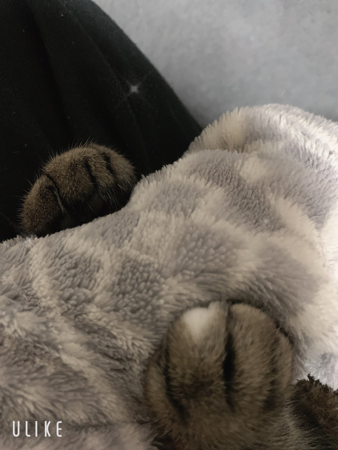 йаÑsÏ
ð¥ã³ã¹ã¡ð奜ããããšæ²¢å±±ç¹ããããð on LIPS ãããŠãã®æ¬¡ç·åã·ãªãŒãºðââ¬ðŸðããã€ãããŠãã®æ¬¡ç·åã·ãªãŒãº..ãïŒ5æç®ïŒ