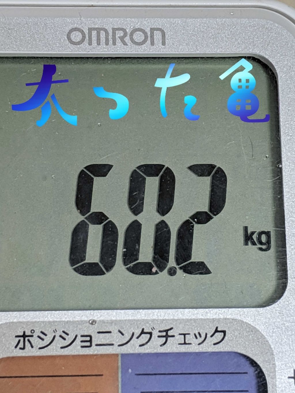 DHC プロティンダイエットスムージーのクチコミ「皆さんこんばんは！
太った亀です🐢
やるやる言って投稿せずに今日になりすみませんでした🙇
プロ.....」（1枚目）
