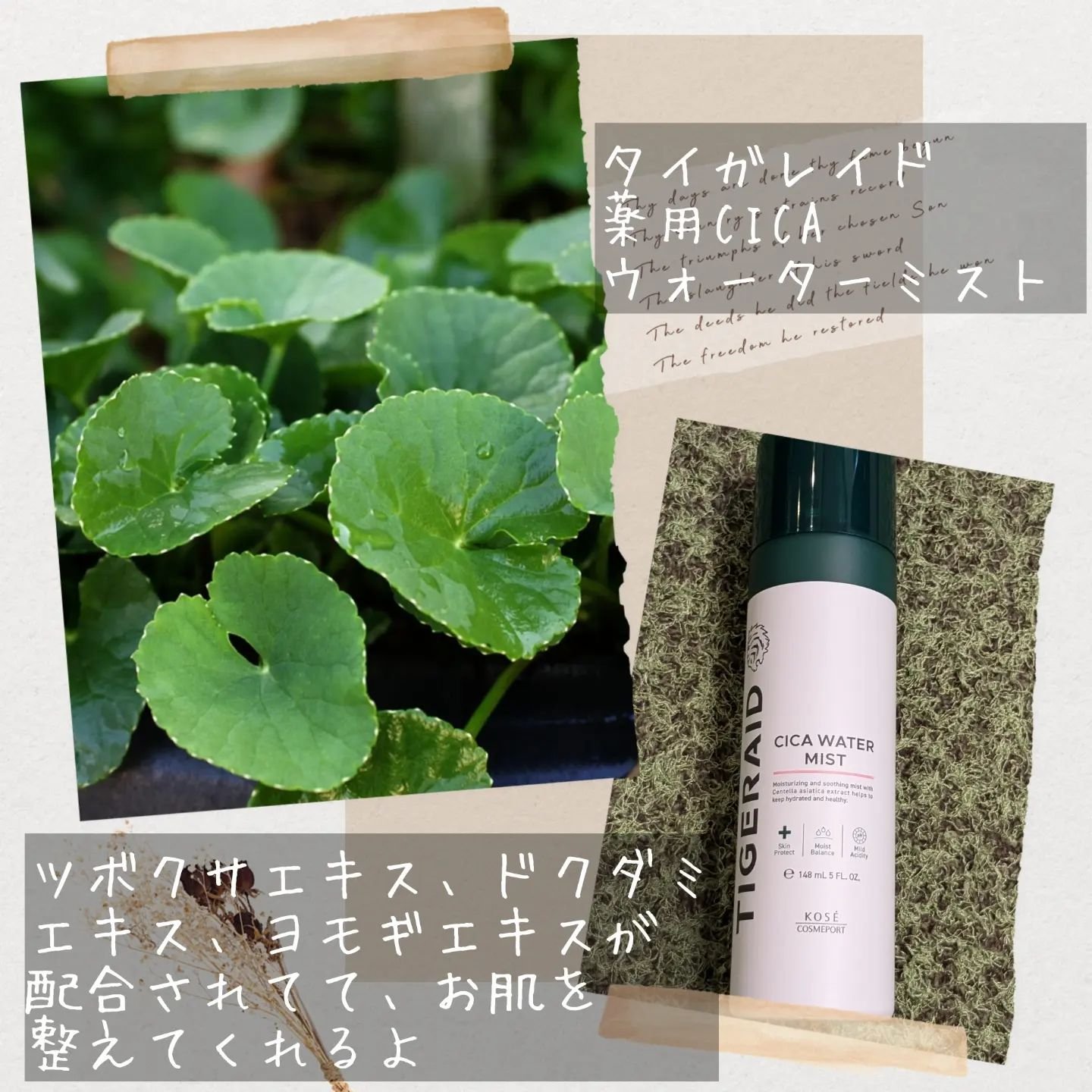 薬用 CICA ウォーターミスト 150g/タイガレイド/ミスト状化粧水を使ったクチコミ（2枚目）