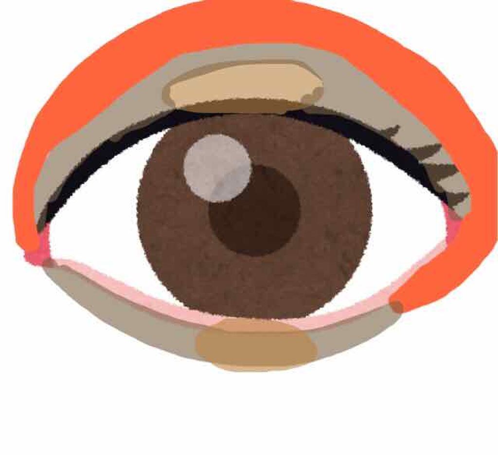 ナチュラル チークN/CEZANNE/パウダーチークを使ったクチコミ(3枚目)