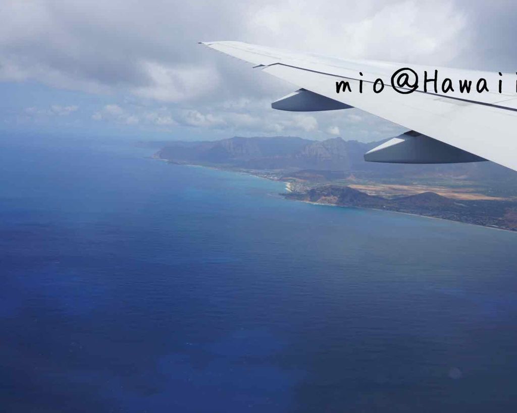 NUI・胸美 バスト・トリートメント・ジェル/Belle Vie(ベルヴィー)/バストケア・ヒップケアを使ったクチコミ（2枚目）