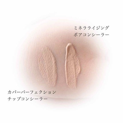ミネラライジング ポア コンシーラー/the SAEM/リキッドコンシーラーを使ったクチコミ(2枚目)