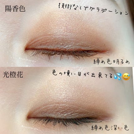 デザイニング カラー アイズ/SUQQU/アイシャドウパレットを使ったクチコミ(5枚目)