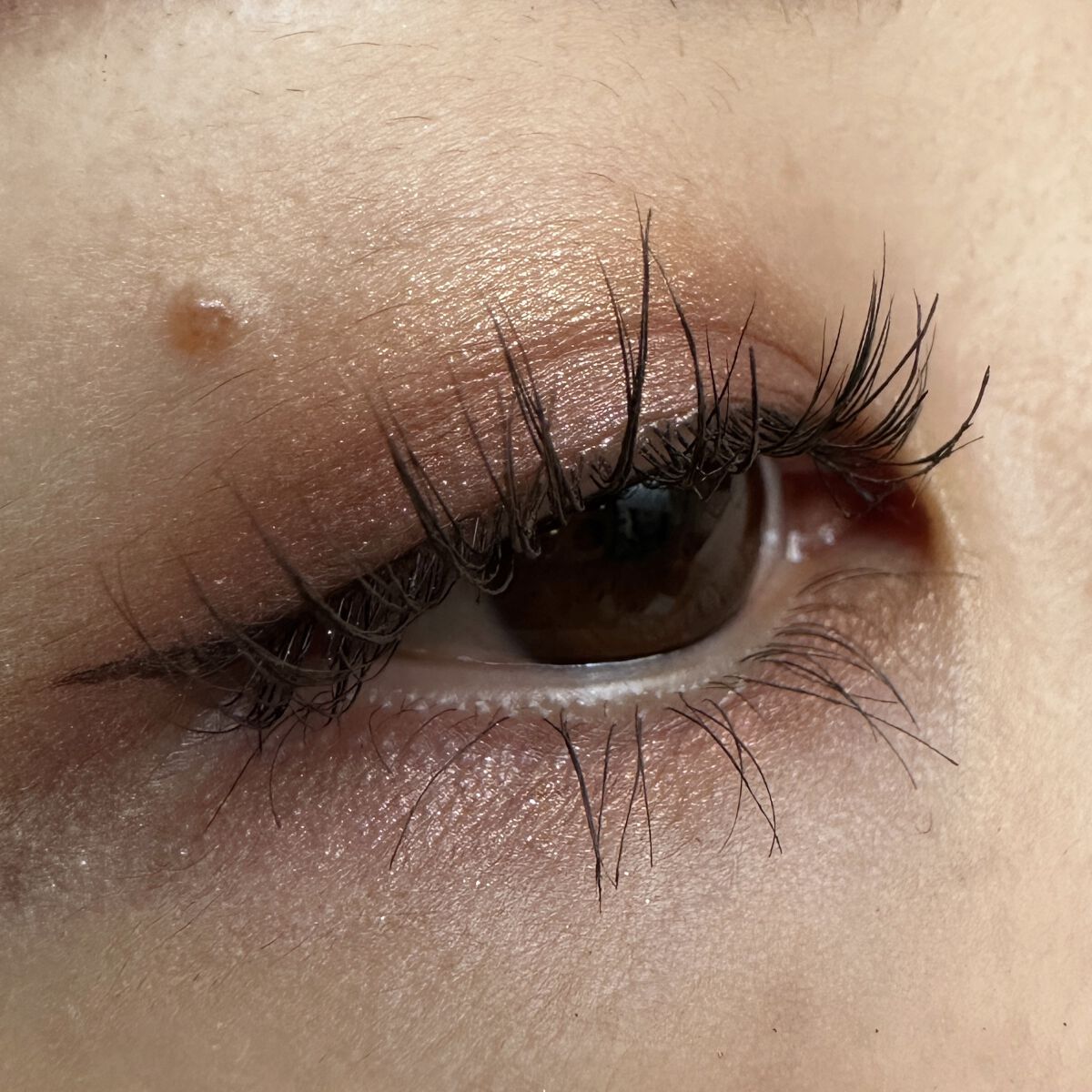 アイ カラー クォード/TOM FORD BEAUTY/アイシャドウパレットを使ったクチコミ（3枚目）