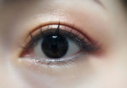 【旧】サンク クルール クチュール/Dior/アイシャドウパレットを使ったクチコミ(4枚目)