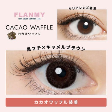 FLANMY 1day（10枚/30枚） カカオワッフル/FLANMY/ワンデー（１DAY）カラコンを使ったクチコミ（2枚目）