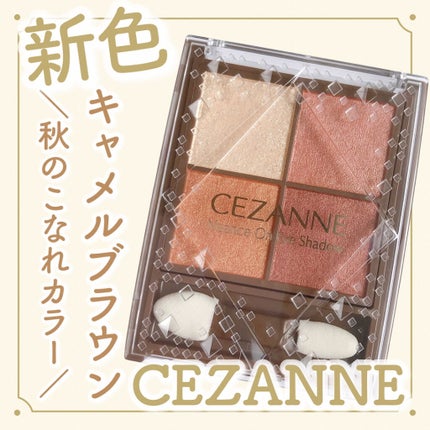 ニュアンスオンアイシャドウ/CEZANNE/アイシャドウパレットを使ったクチコミ(1枚目)